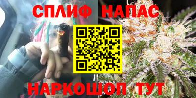 стафф Жуковский