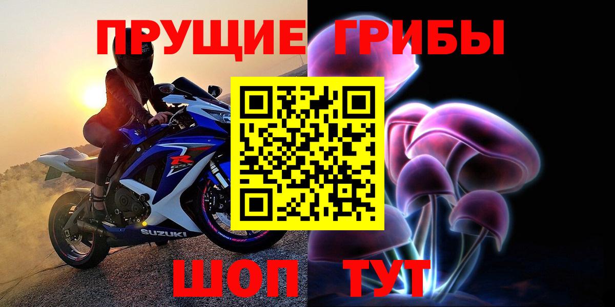 Псилоцибиновые грибы мицелий Бирск